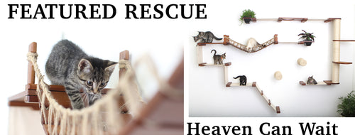 Heaven Can Wait Rescue