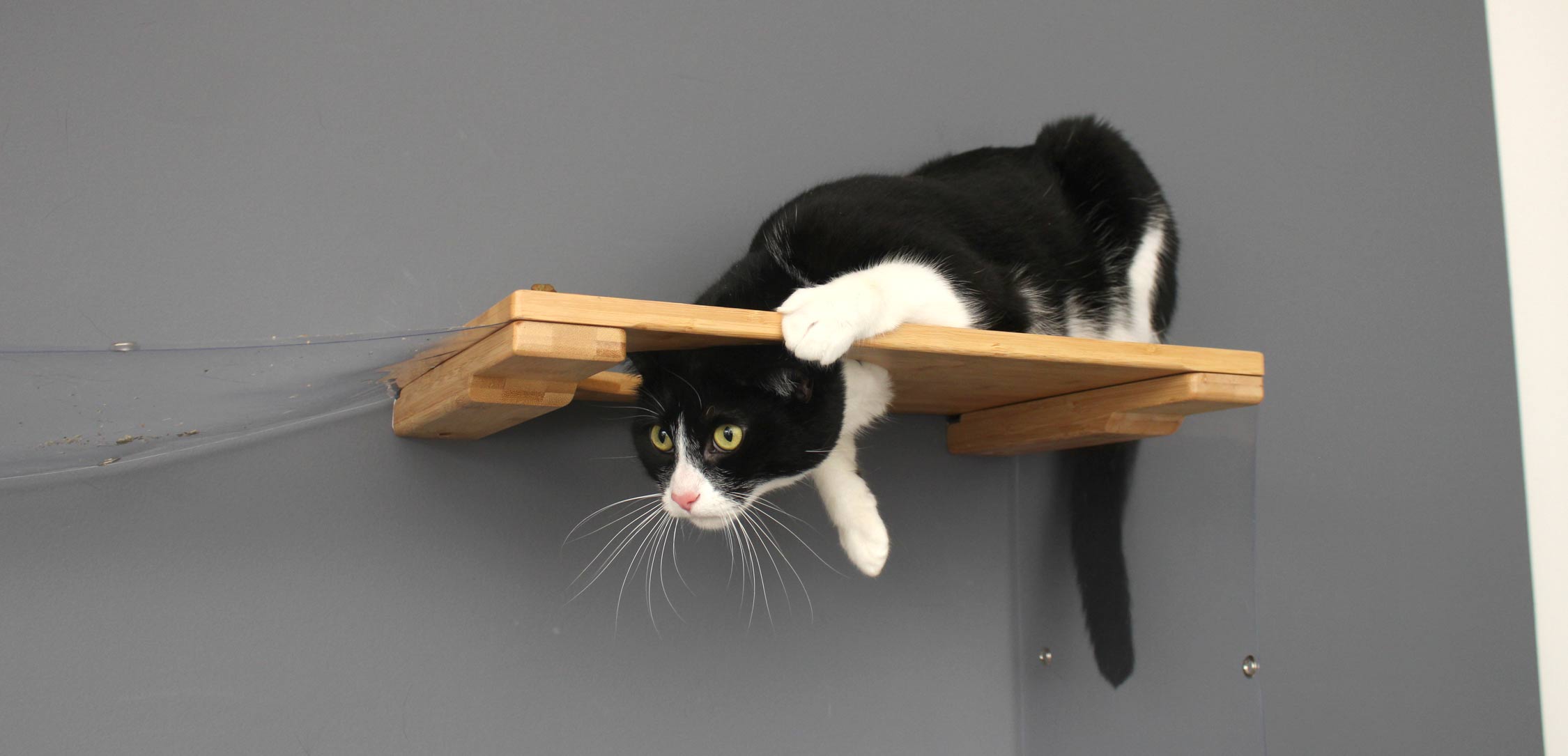 7 Cat Furniture Ideas to Make Your Cat Happy