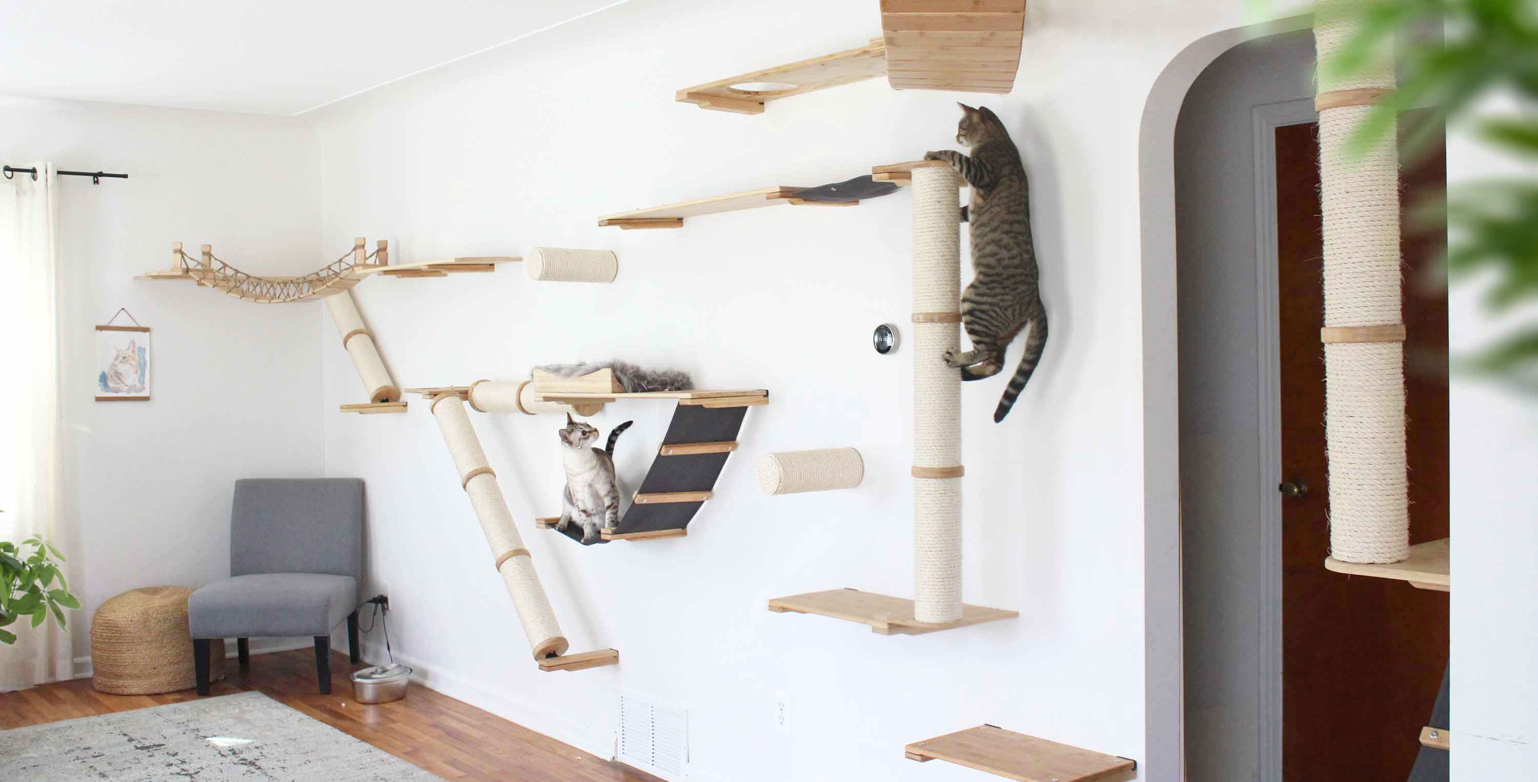 Tree Ideas Diy Cat Perch Plans Diy Cat Shelves Wood Cat Furniture Build A Cat Condo Build Your