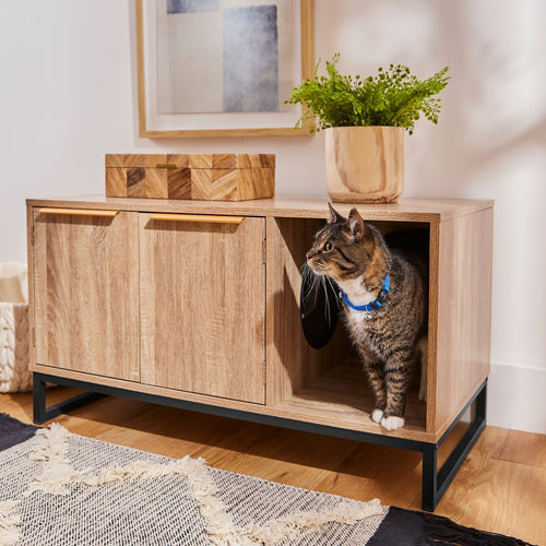 cat in litter box enclosure