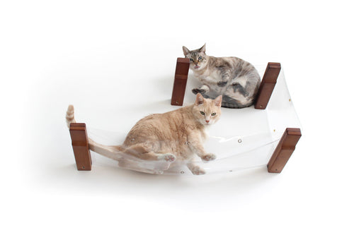 Two cats on a clear Double Decker cat hammock