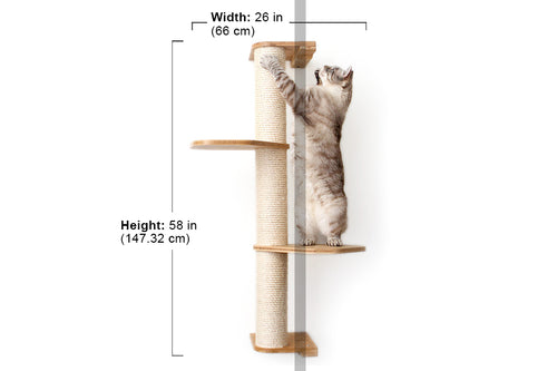 cat scratching on scratching pole with dimensions