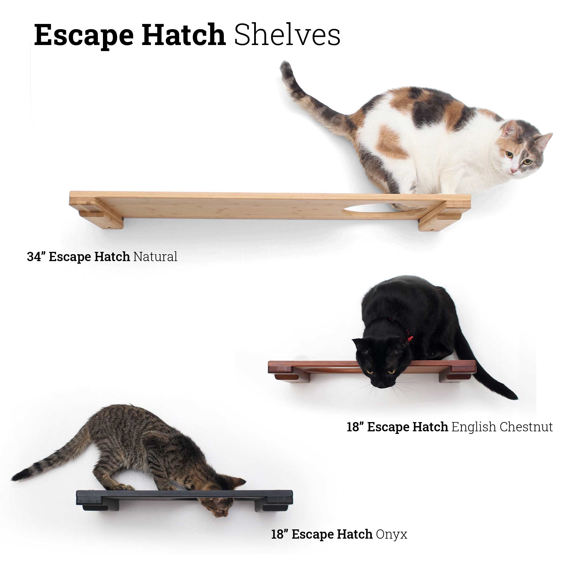 Cats posing on multiple variations of the Escape Hatch cat shelves