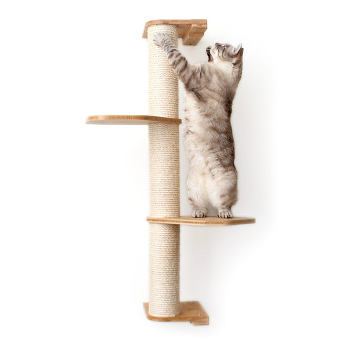 Cat on deluxe sisal pole