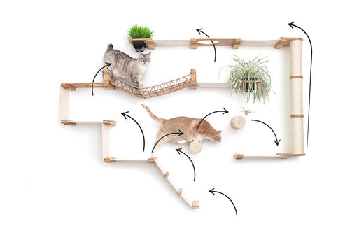 juggernaut cat condo with routes