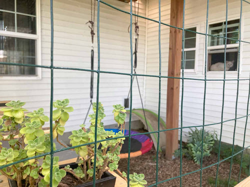 Outdoor scene with plants and a swing set behind a wire fence.