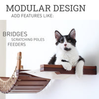 kitten lounging on a cat hammock attached to a cat bridge