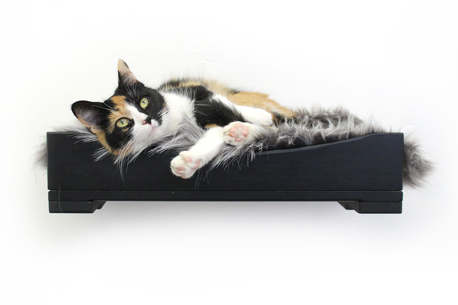 Cats on Nest Bed
