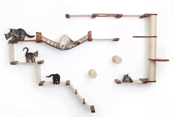 Kittens playing on an Juggernaut cat condo with Englighs Chestnut Bamboo and Natural Canvas