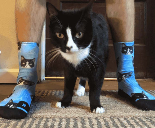 Cat standing between their owners feet and the owner has socks with the cats face on it