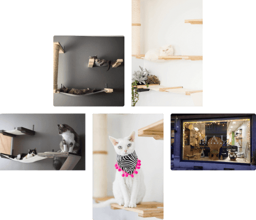 customer cat furniture examples with cats