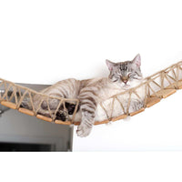 Cat sleeping on Bridge