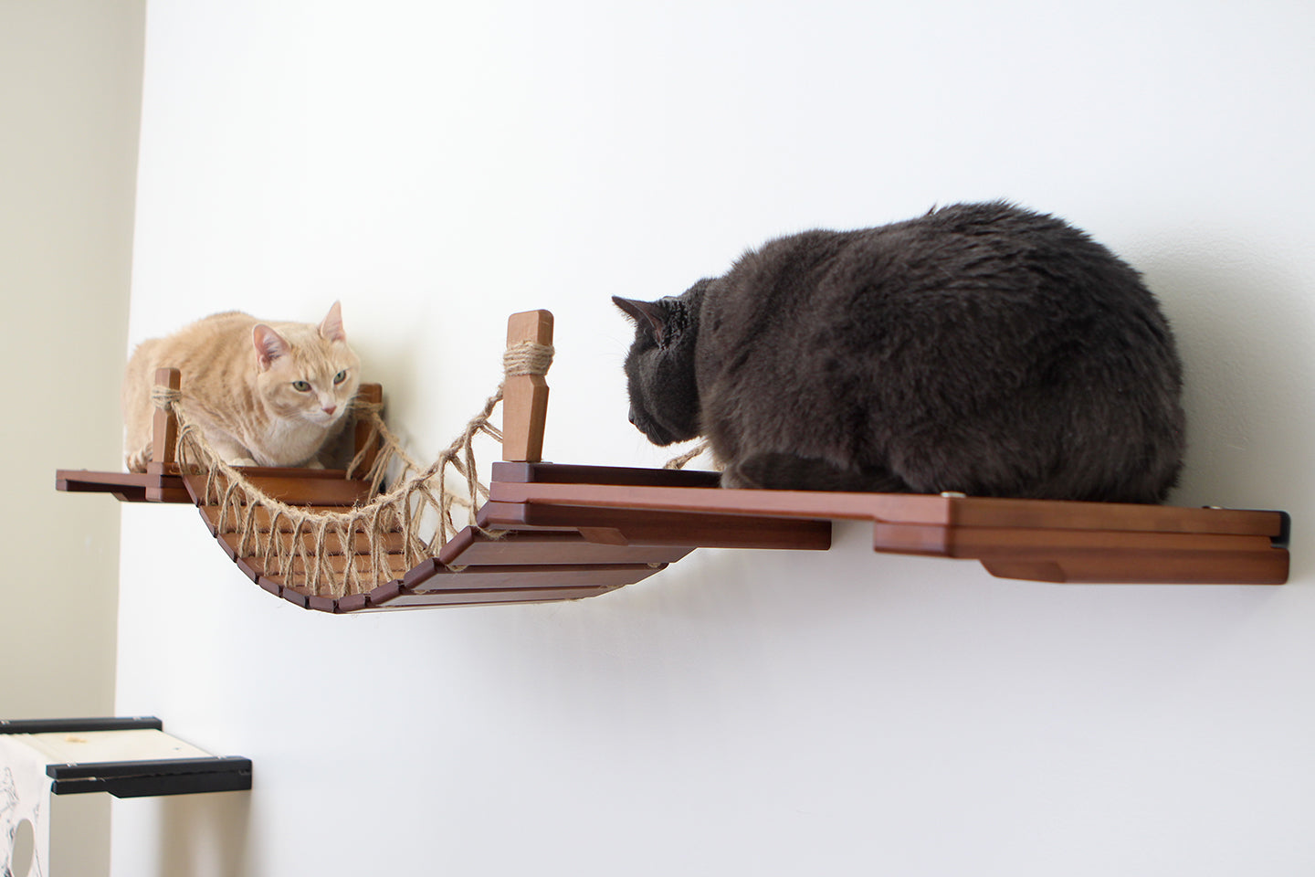 Two cats face off on opposite sides of the Bridge with Landings. Bridge and Landings shown are English Chestnut/Twine.