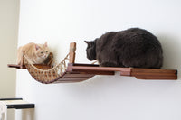 Two cats face off on opposite sides of the Bridge with Landings. Bridge and Landings shown are English Chestnut/Twine.