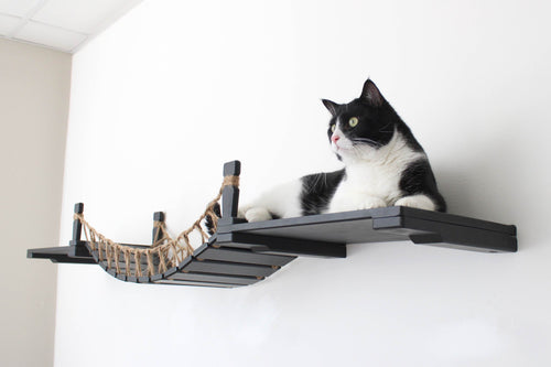 Black and white cat laying on a shelf attached to a onyx stained cat bridge with twine roping