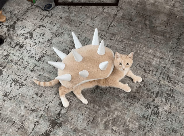 Cat Dressed as Bowser