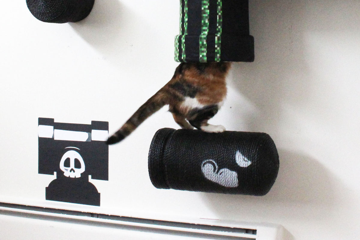 cat jumping on mario themed bullet into tube