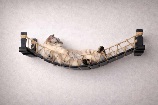 cat lounging on a cat bridge
