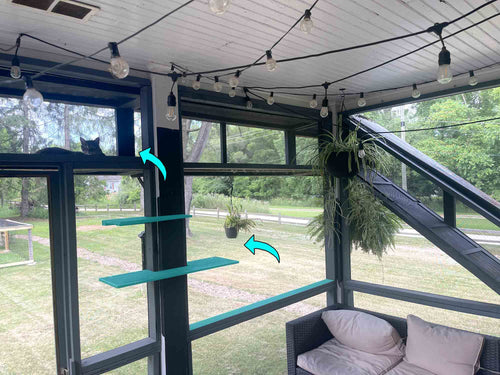 Cat tree with shelves in a sunroom with greenery outside