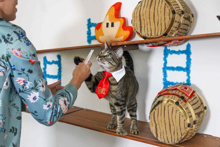 Cat wearing Donkey Kong Tie