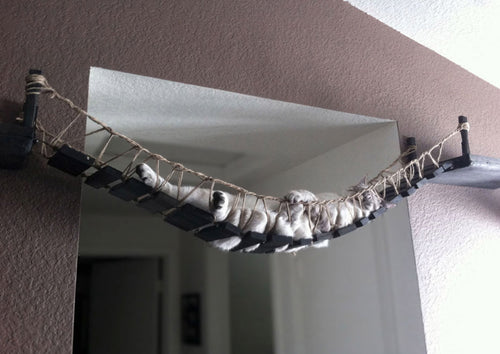 cata original indiana jones cat bridge with cat sleeping on it