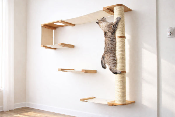 Cat climbing a wooden scratching post on a wall-mounted cat tree.