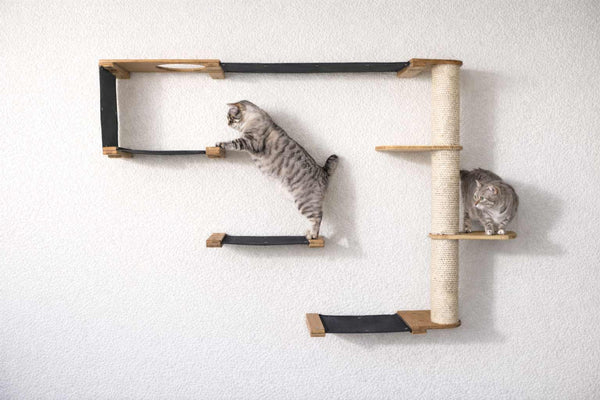 Wall-mounted cat shelf with two cats on a light gray background