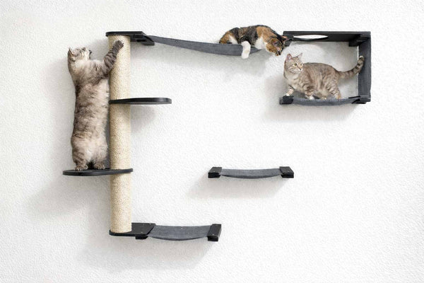 Cat climbing wall with multiple levels and a cat on each level against a white background