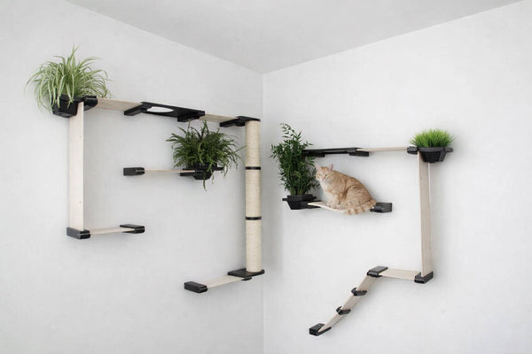 wall mounted cat condo installed in a corner with cat sitting on a hammock