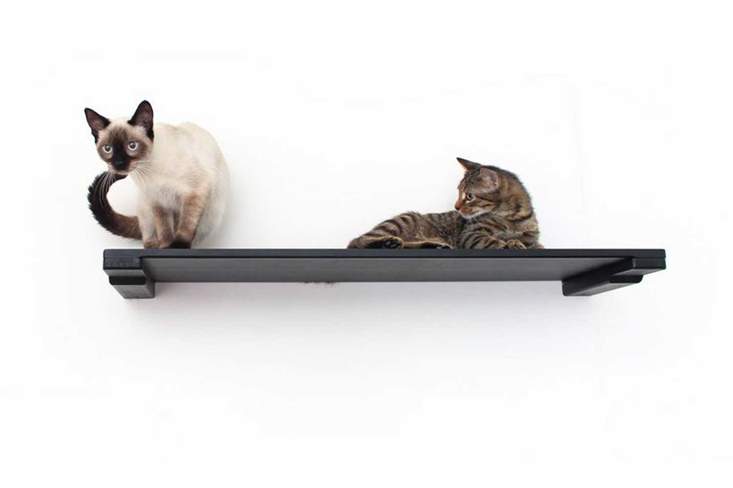 CatastrophiCreations Cat Shelf 34 Inch Onyx Bamboo 1 Single No Plush Bed No Slots