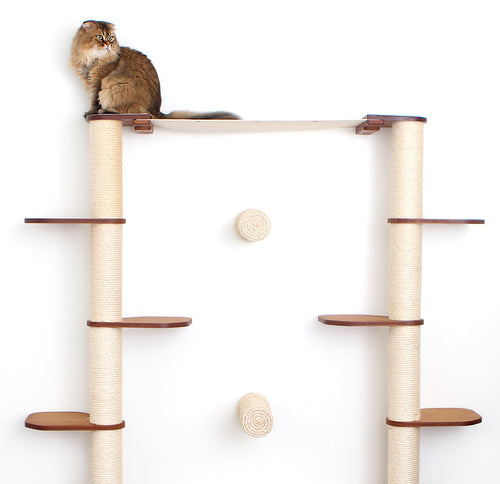 Cat on custom pole installation