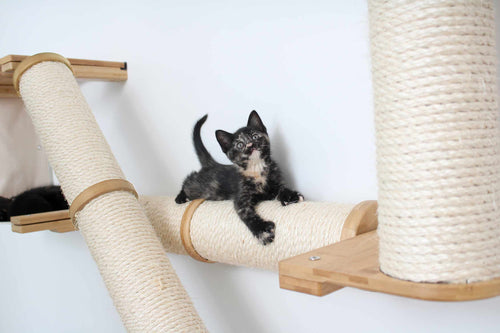 small kitten splayed across the horizontal cat scratching pole of the Crossroads Cat Tree