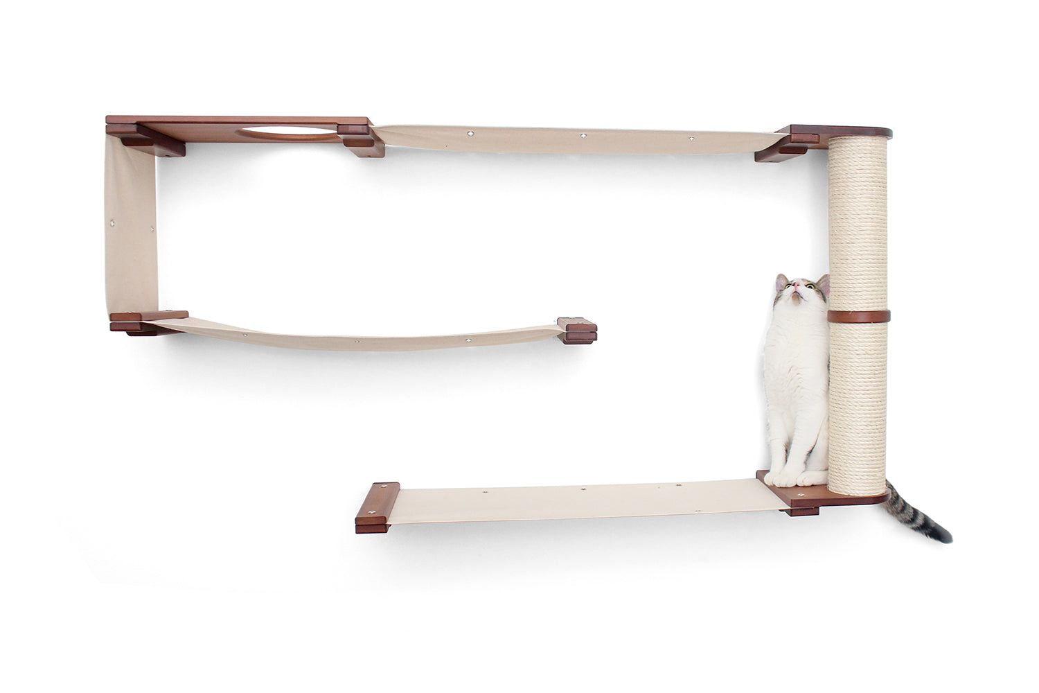 Cat investigating Deluxe Maze condo. Pictured in English Chestnut/Natural.