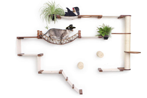 cats dressed up in costumes playing on cat furniture