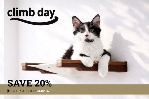 cat laying on hammock with 20% off text