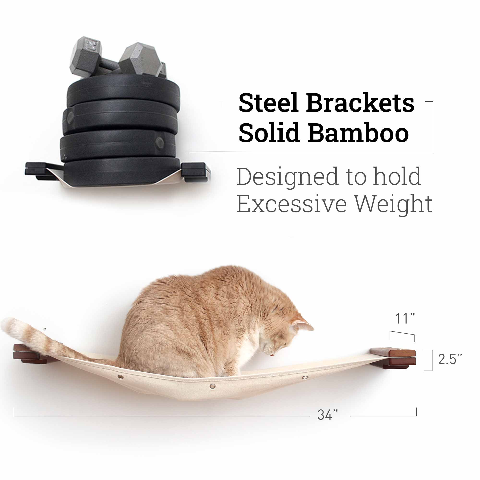 cat hammocks with weights and large cat to showcase durability