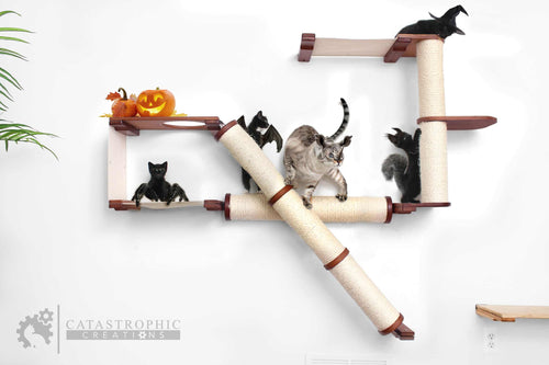 Cat climbing shelf with multiple cats on a white background