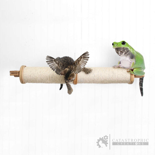 Cat and frog on a scratching post with a white background