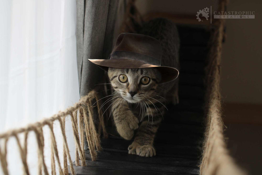 Cat Wall Bridge and Shelf Set