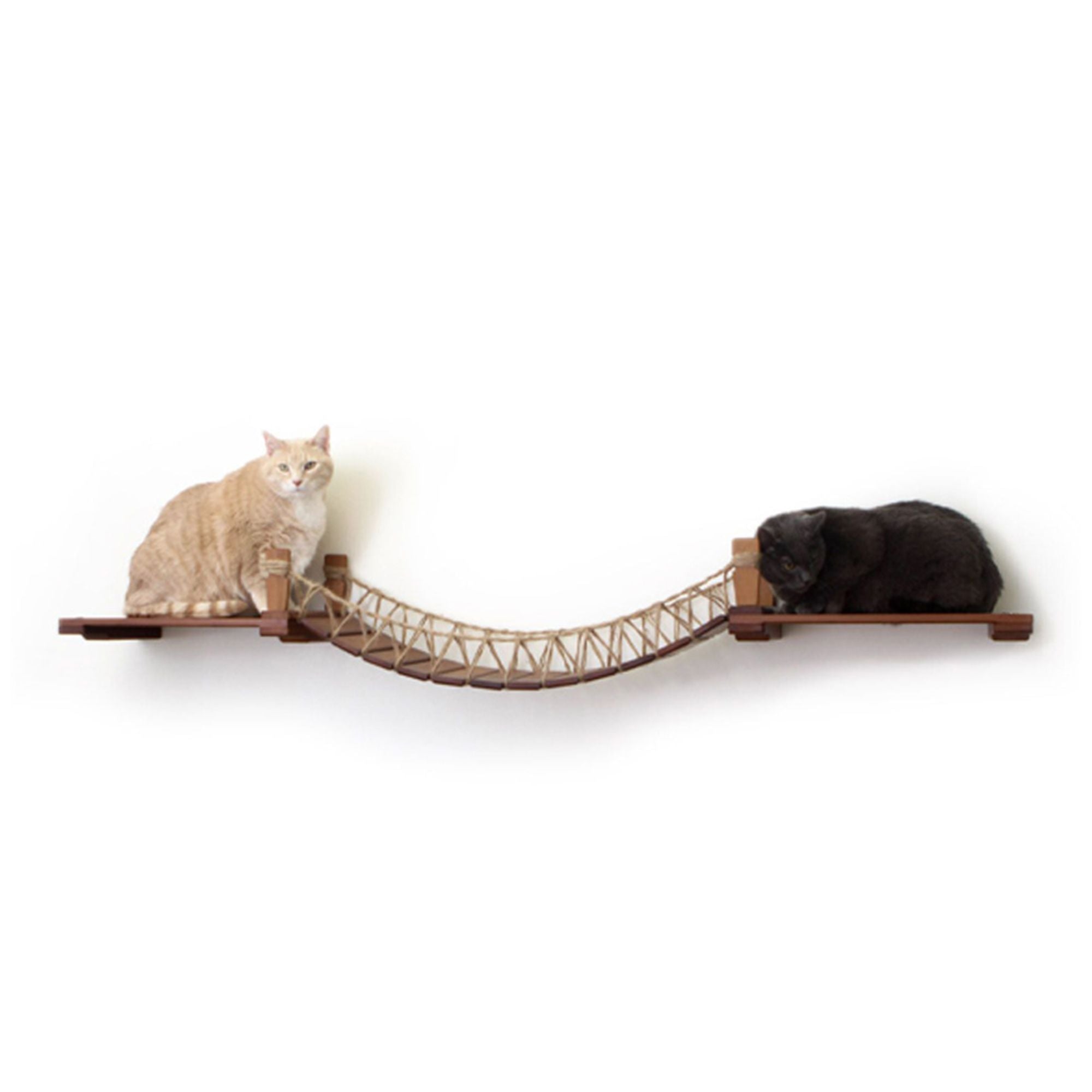 Cats on a bridge with landings