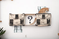 Cat climbing to the top of The Mario Cat Condo