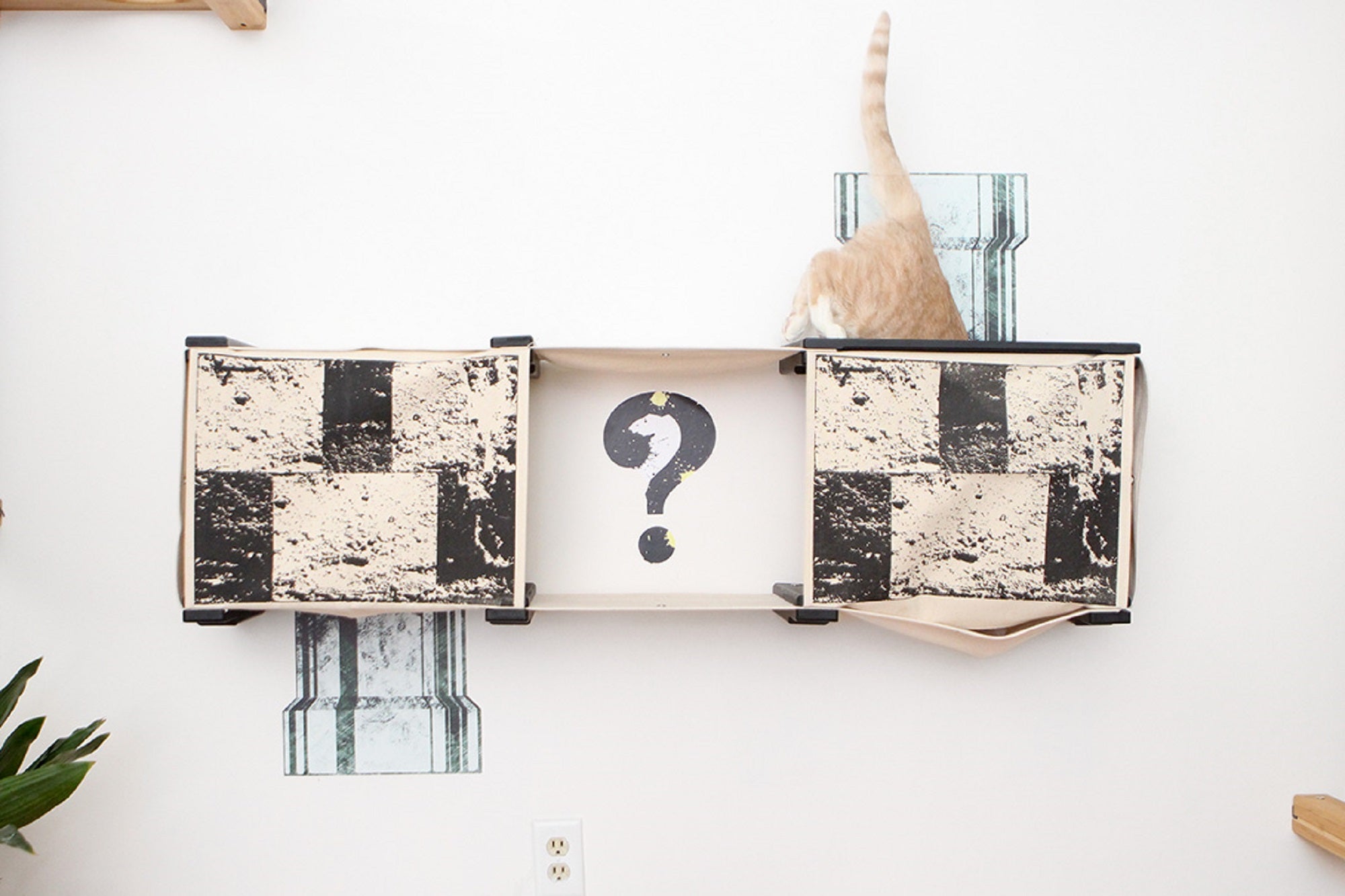 Cat using the escape hatch on The Mario Cat Condo