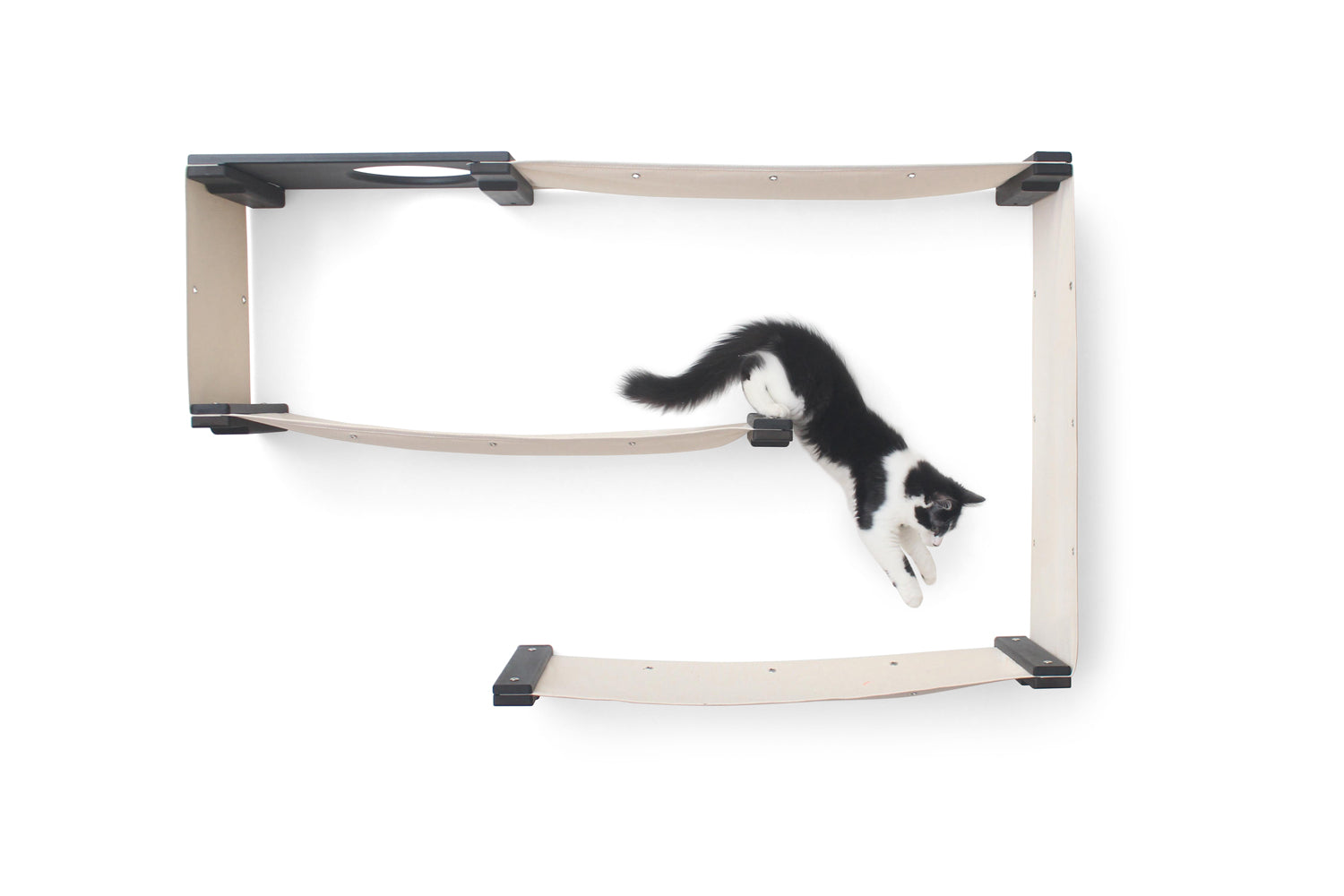 Black and white kitten playing in Maze condo. Finishes shown are Onyx/Natural.