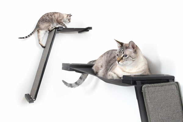 Angled Cat Scratcher Lounge - Wall-Mounted