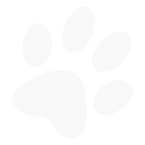 light gray paw print icon