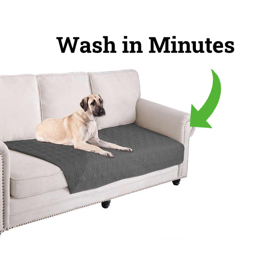 Dog lying on a gray pet bed with a couch underneath, text 'Wash in Minutes' above.