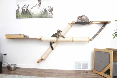 Two cats playing on a Plateau cat scratcher