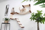 two large cats exploring the Play Cat Condo