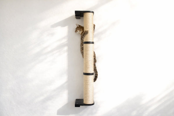 Cat climbing on a vertical scratching post against a white wall