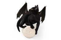 Black cat with bat wings on a white background